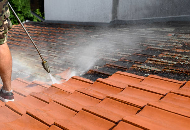 Best Commercial Building Pressure Washing  in Forest Lake, IL