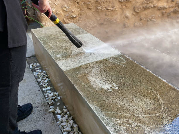 Best Power Washing Near Me  in Forest Lake, IL