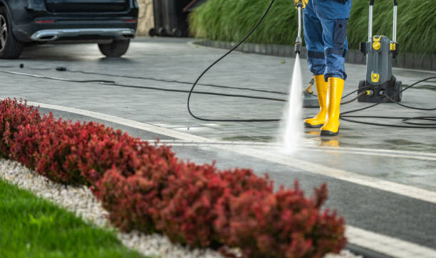 Best Best Pressure Washing Companies  in Forest Lake, IL