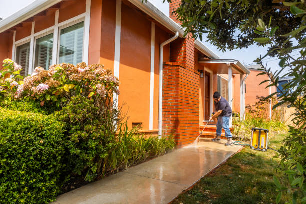 Best Pressure Washing Siding  in Forest Lake, IL